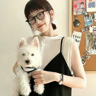 藏獒情未了