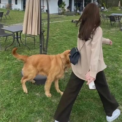 以你的名字呼唤我